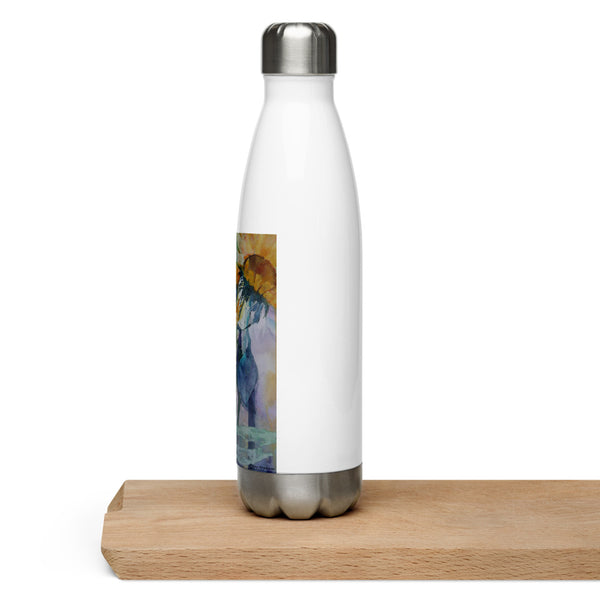 Stainless Steel Water Bottle